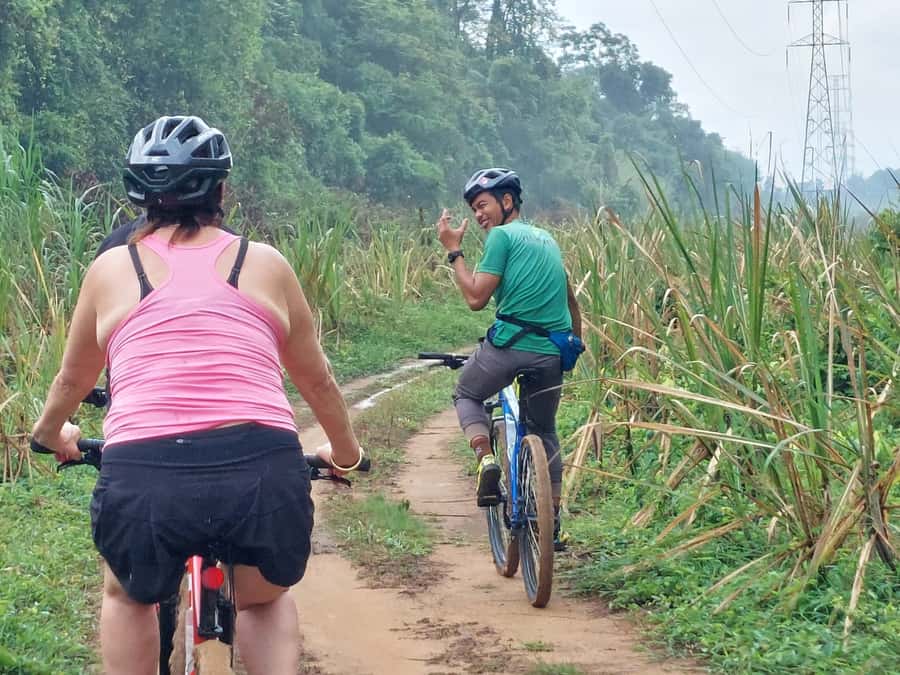 Phuket: Half-Day Countryside Cycling Tour with Lunch - Key highlights you’ll actually feel on the ride