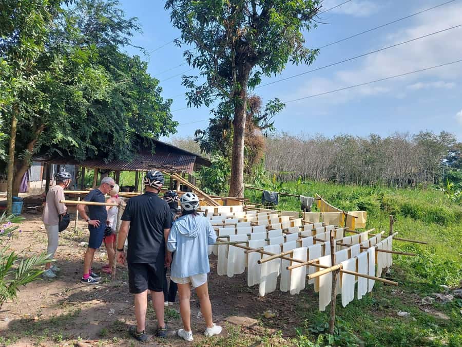 Phuket: Half-Day Countryside Cycling Tour with Lunch - Pace, comfort, and who should pick this tour