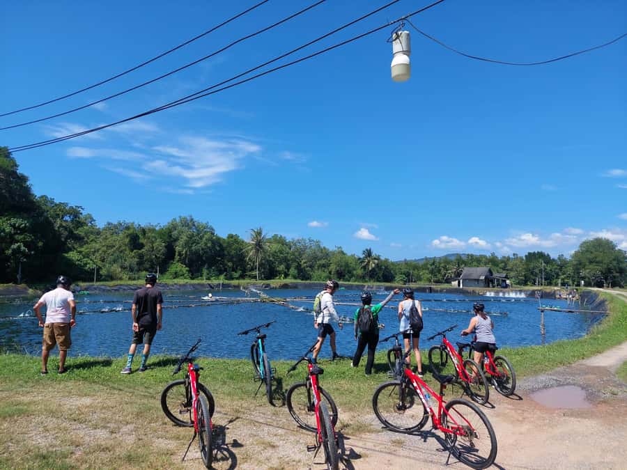 Phuket: Half-Day Countryside Cycling Tour with Lunch - Price check: is $73 worth a half-day countryside ride?