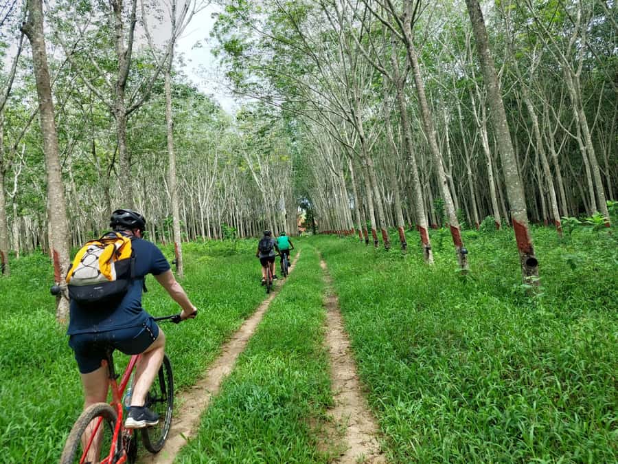Phuket: Half-Day Countryside Cycling Tour with Lunch - Pickup, bikes, and the early set-up that makes the ride easier