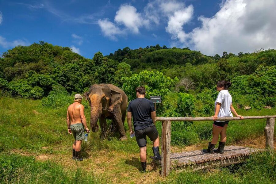 Phuket: Half-Day Ethical Elephant with Meal and Transfer - The Light Meal Moment: Vegetarian Food Plus Refresments
