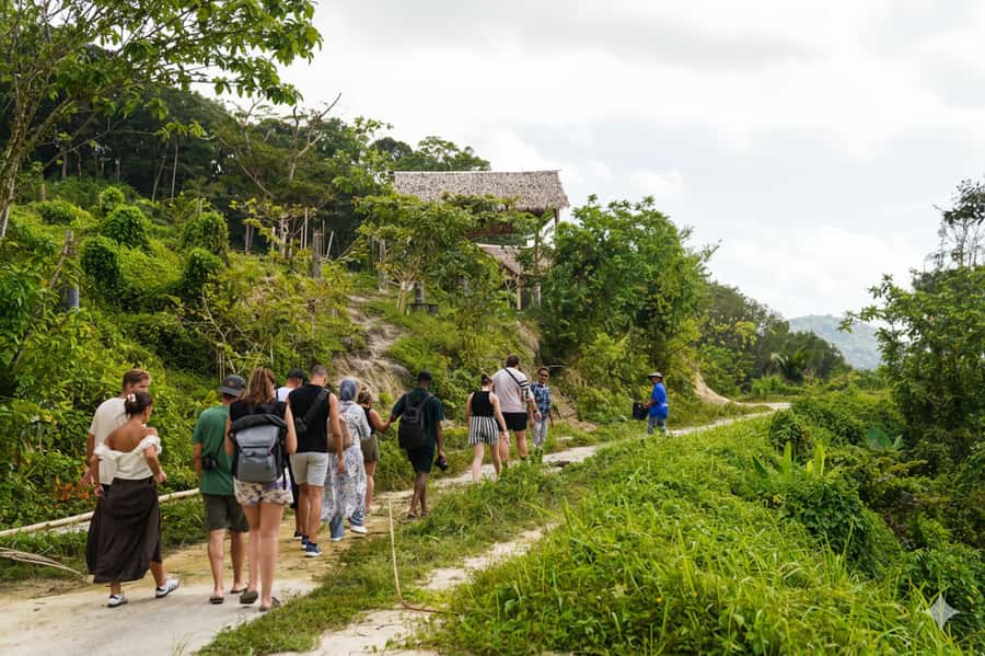 Phuket: Half-Day Ethical Elephant with Meal and Transfer - Price and Value: $80 for a Half-Day With Transfer and Food