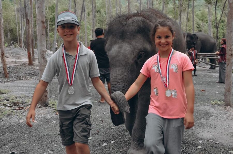 Phuket: Half Day or 2-Hour Ethical Elephant Care Sanctuary - Why Nai Dee Elephant Care Park Feels Different From Typical Elephant Stops