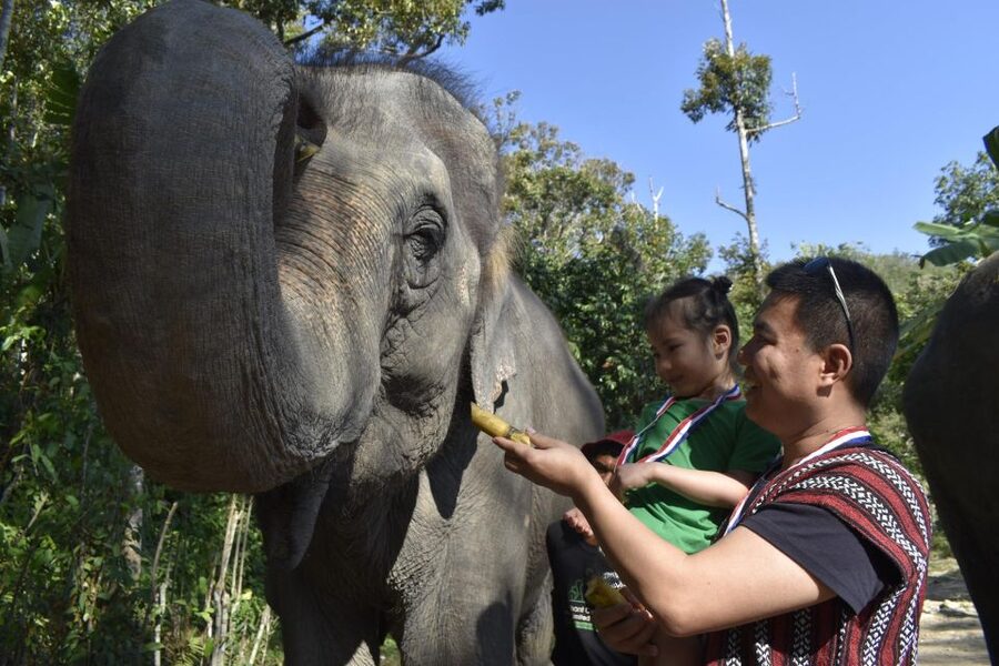 Phuket: Half Day or 2-Hour Ethical Elephant Care Sanctuary - Feeding Elephants by Hand: The Part That Usually Delivers the Most