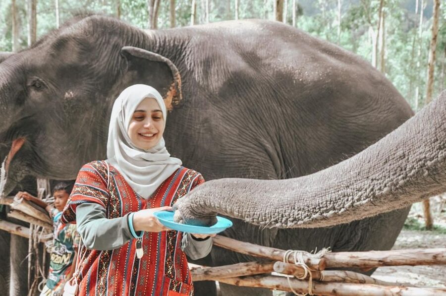 Phuket: Half Day or 2-Hour Ethical Elephant Care Sanctuary - Mud Spa and Elephant Bathing in Option A: Fun, Wet, and Worth Planning For