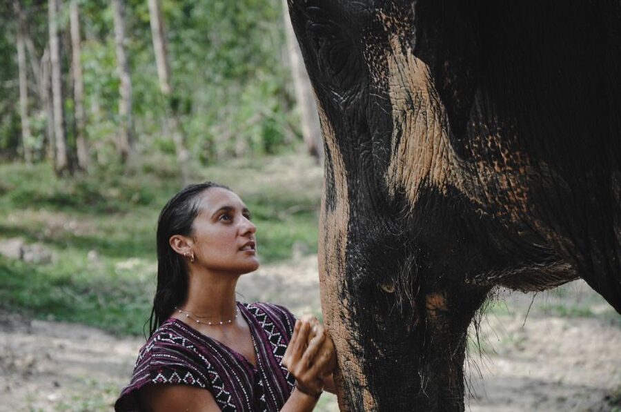 Phuket: Half Day or 2-Hour Ethical Elephant Care Sanctuary - Thai Cooking Class and Meals: How They Add Value (Not Just Fill Time)