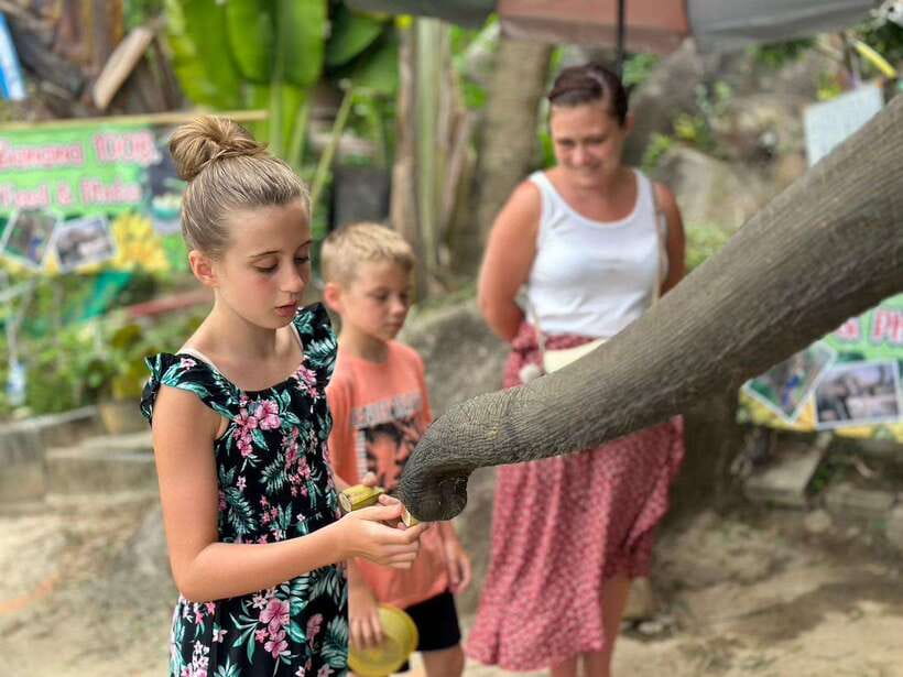 Phuket: Half Day Sightseeing and City Tour with Tour Guide - Elephant, Tigers, and ATV Add-Ons: Budgeting and Timing Are Everything