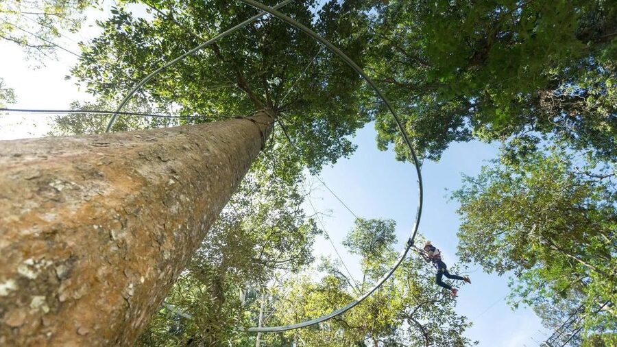 Phuket: Hanuman World Zip Line Adventure - Who this adventure suits best (and who should skip it)