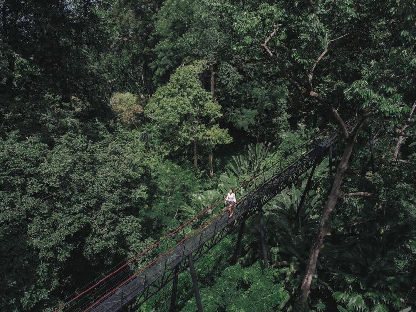 Phuket: Hanuman World Zip Line Adventure - Why the Hanuman World course feels so good in Phuket