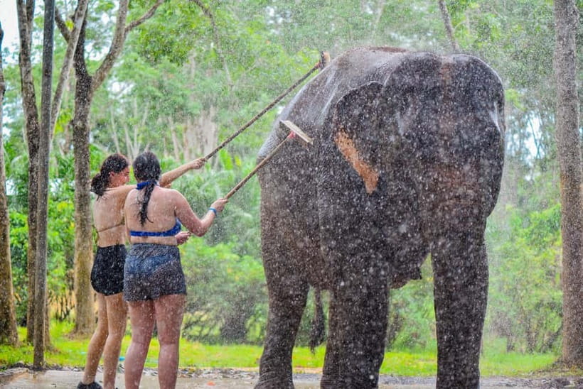 Phuket: Happy Hour Feed and Rain Shower with Elephant - Why the Timing Works
