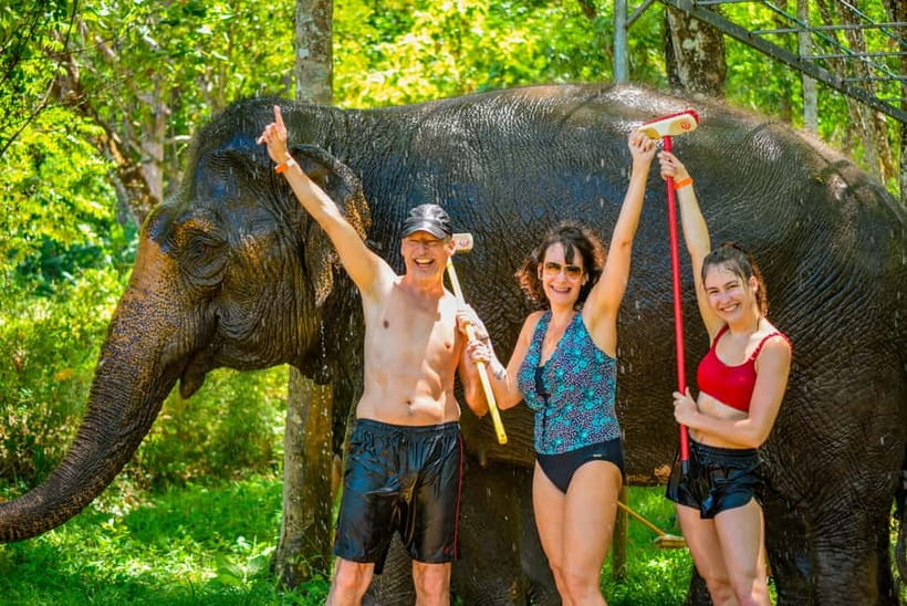 Phuket: Happy Hour Feed and Rain Shower with Elephant - Key Highlights You’ll Actually Feel