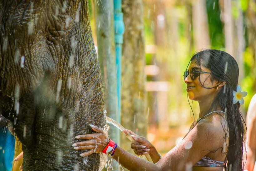 Phuket: Happy Hour Feed and Rain Shower with Elephant - Entering Lily Elephant Camp Phuket Without Getting Lost