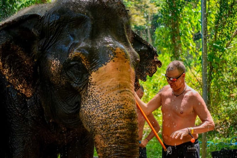 Phuket: Happy Hour Feed and Rain Shower with Elephant - Feeding Time: The Part Most People Will Remember