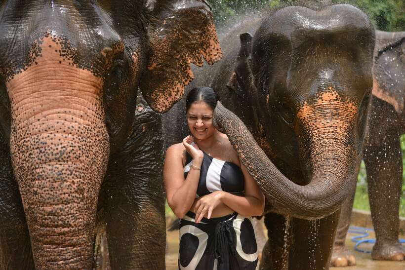 Phuket: Happy Hour Feed and Rain Shower with Elephant - Logistics That Affect Your Day: Transport, Timing, and Wet Clothes