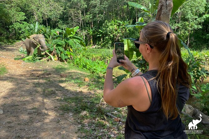 Phuket: Hidden Forest Elephant Reserve Guided Tour with Lunch - How Hidden Forest Keeps the Experience Ethical