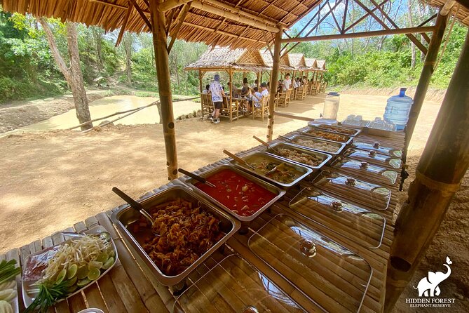 Phuket: Hidden Forest Elephant Reserve Guided Tour with Lunch - Forest Trails and Bamboo Observation Huts That Actually Change the Day