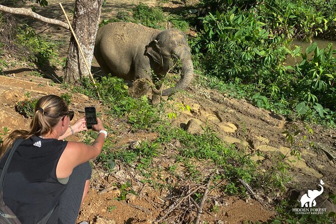 Phuket: Hidden Forest Elephant Reserve Guided Tour with Lunch - Who Should Book Hidden Forest Elephant Reserve