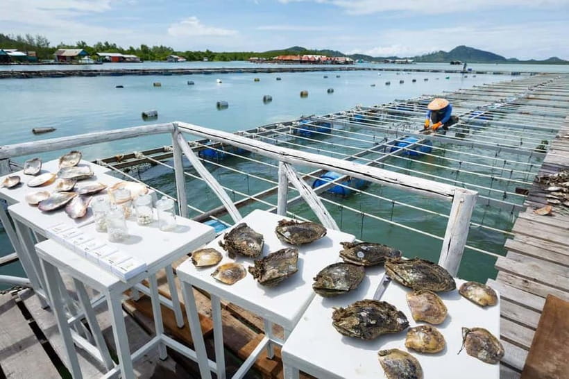 Phuket: Highlights Tour with Pearl Farm & Elephant Village - Phuket Old Town Drive-Past: Sino-Portuguese Streets You Can Actually Use