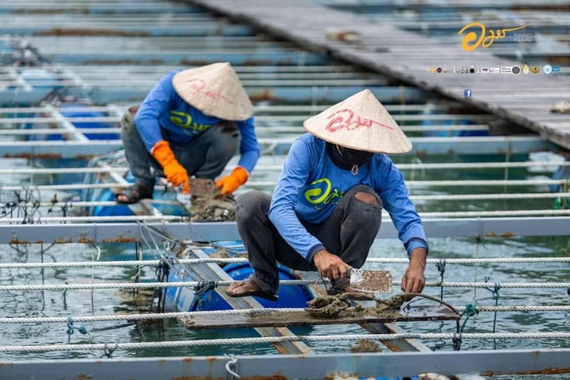 Phuket: Highlights Tour with Pearl Farm & Elephant Village - Who This Tour Fits Best (And Who Might Not Love It)