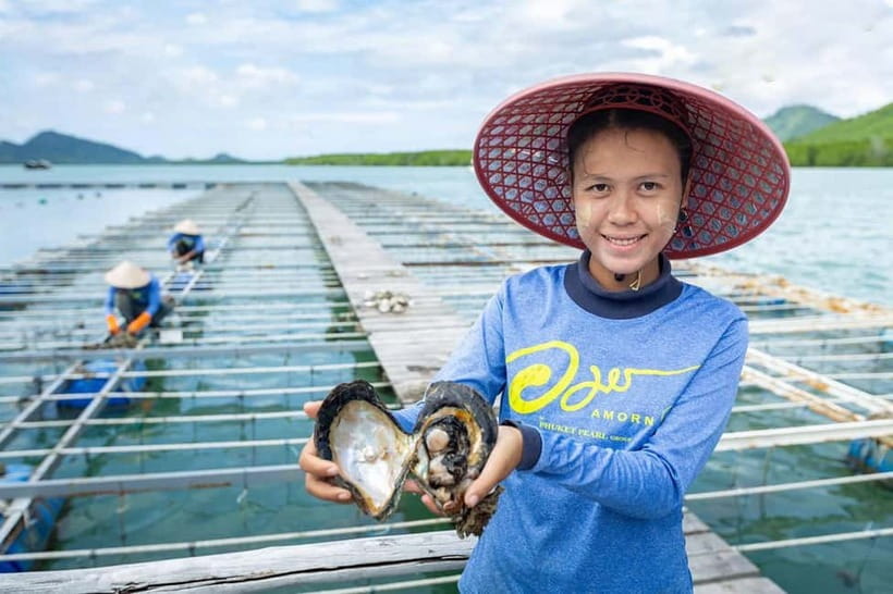 Phuket: Highlights Tour with Pearl Farm & Elephant Village - Private Car With Driver: Pickup, Comfort, and Timing Reality