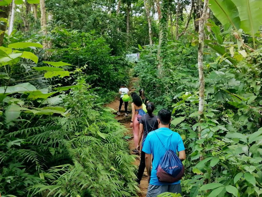 Phuket: Hiking to Sunrise - Small-group hiking: what “max 10 participants” changes