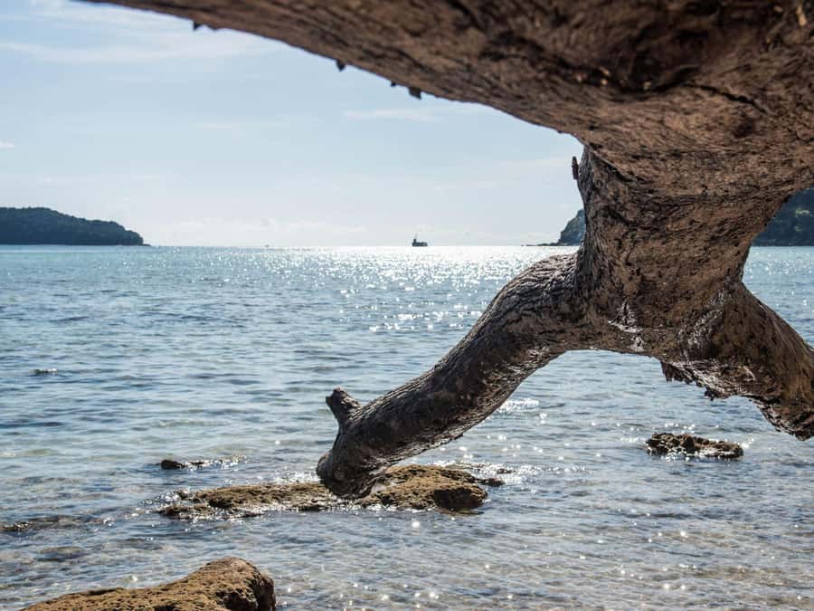Phuket: James Bond Island Sea Canoe by Speedboat - James Bond Island at Khao Ping Kan and Koh Tapu: photos and shopping