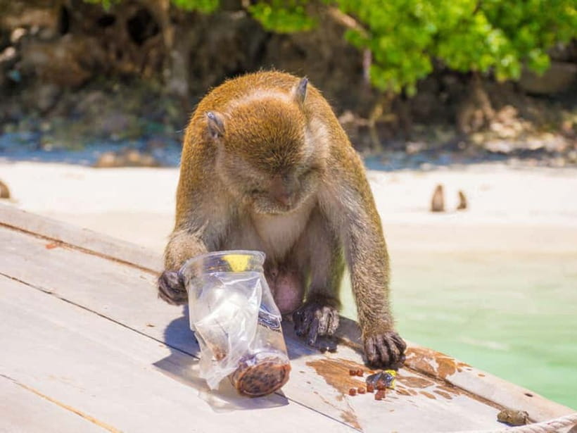 Phuket: James Bond Island Sea Canoe with lunch by Big Boat - Key points before you go