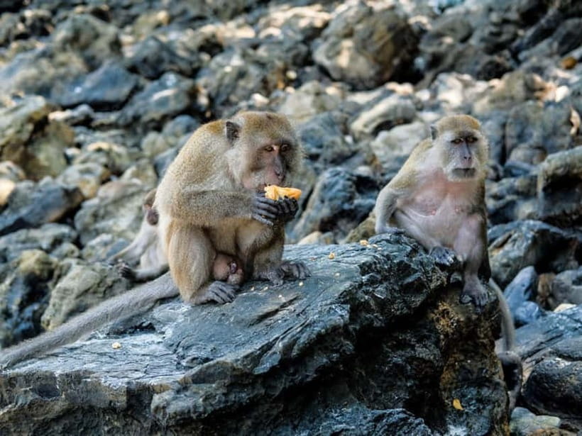 Phuket: James Bond Island Sea Canoe with lunch by Big Boat - Hong Island canoeing: The guided lagoon-and-cave feeling