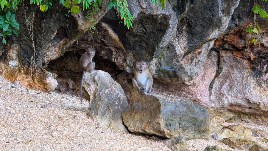 Phuket: James Bond & Panyi Day Tour with Canoeing & Lunch - Panak Island cave lagoon and the James Bond photo moment
