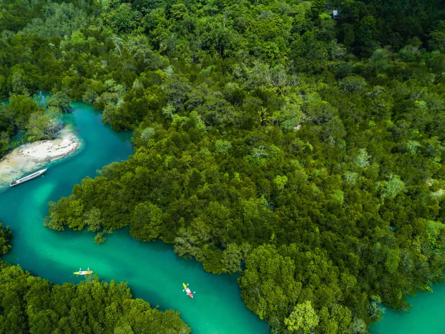 Phuket: James Bonds Island with Lunch and Sea Cave Canoe - Koh Panyee floating village lunch: buffet with real context