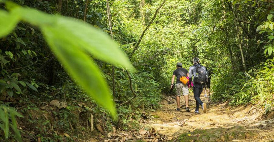Phuket: Jungle Trekking Experience at Khao Phra Taew - Khao Phra Taew’s 8 km Trails: What You’ll Actually See