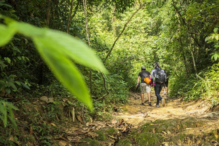 Phuket: Jungle Trekking Experience at Khao Phra Taew - Your English Guide (Including Lee) and the Small-Group Advantage