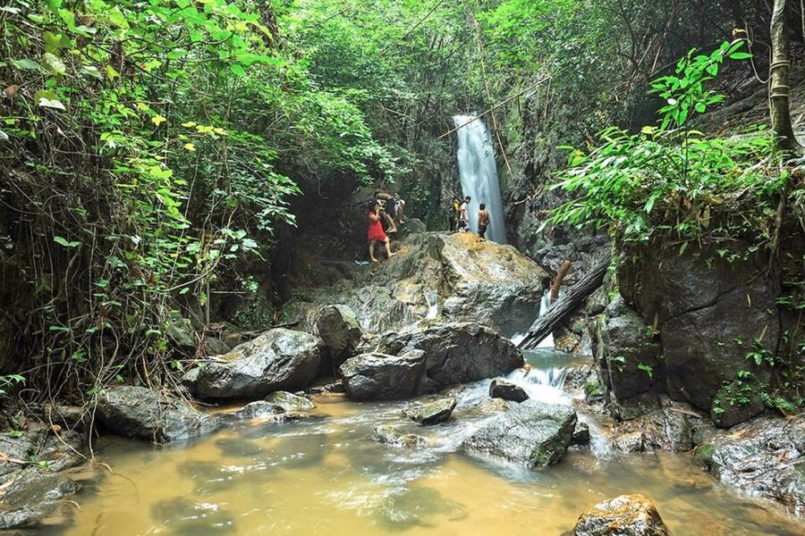 Phuket: Jungle Trekking Experience at Khao Phra Taew - Lunch and Drinks: A Real Reset After the Hike
