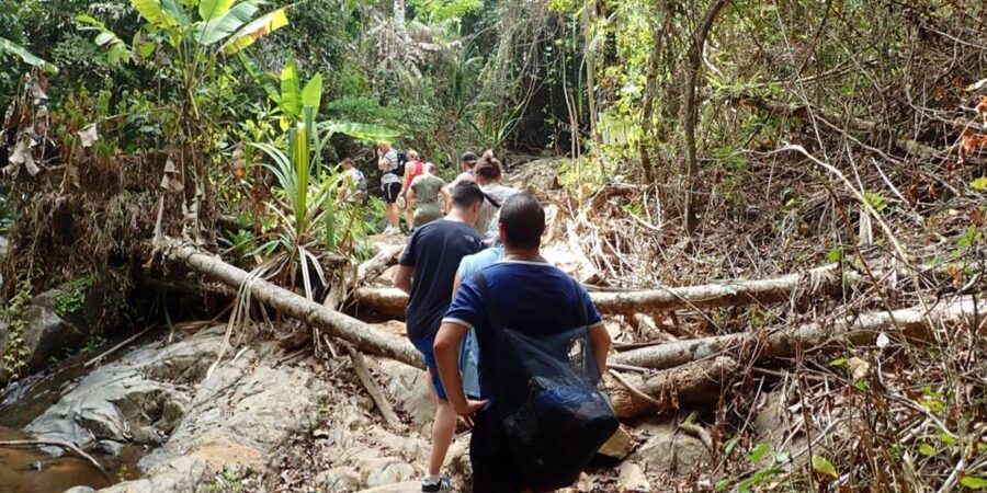 Phuket: Jungle Trekking Experience at Khao Phra Taew - Transfers Around Phuket: Where the Value Changes