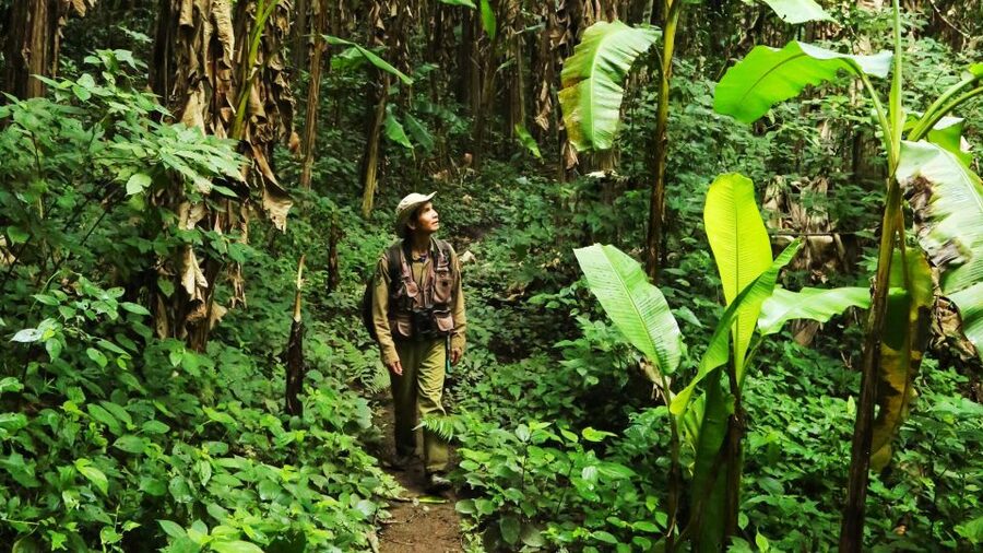 Phuket: Jungle Trekking Experience at Khao Phra Taew - Who This Trek Is For (and Who Should Think Twice)