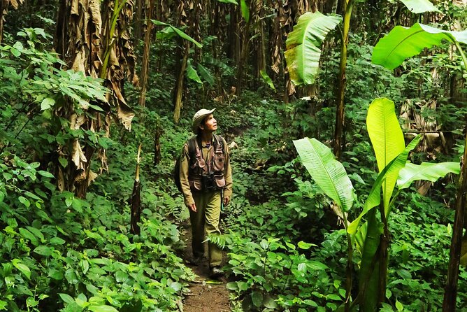Phuket Jungle Trekking Experience at Khao Phra Taew National Park - Key things I’d plan around