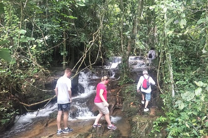 Phuket Jungle Trekking Experience at Khao Phra Taew National Park - The hike itself: rainforest trails, sweat level, and how to gauge your fitness