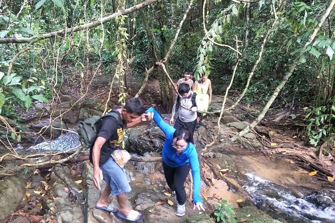 Phuket Jungle Trekking Experience at Khao Phra Taew National Park - Higher up the mountain range: giant palm leaves and rare sightings