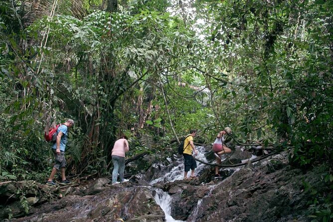 Phuket Jungle Trekking Experience at Khao Phra Taew National Park - What’s included (and why it feels like good value)