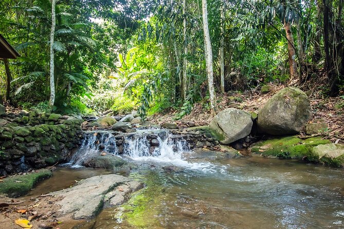 Phuket Jungle Trekking Experience at Khao Phra Taew National Park - The small-group vibe: how it affects safety and enjoyment