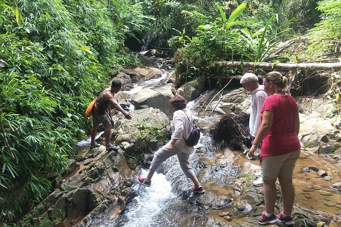 Phuket Jungle Trekking Experience at Khao Phra Taew National Park - Meet your guide: what “licensed and English speaking” looks like on the trail