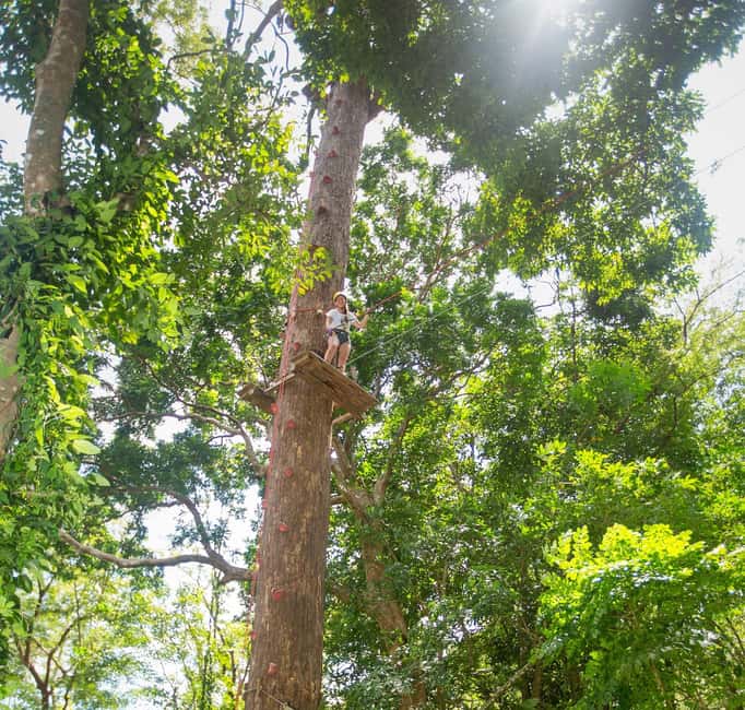 Phuket: Jungle Xtreme Adventure Park Entry Ticket - Transfers and Timing: A Day Trip Without the Headaches