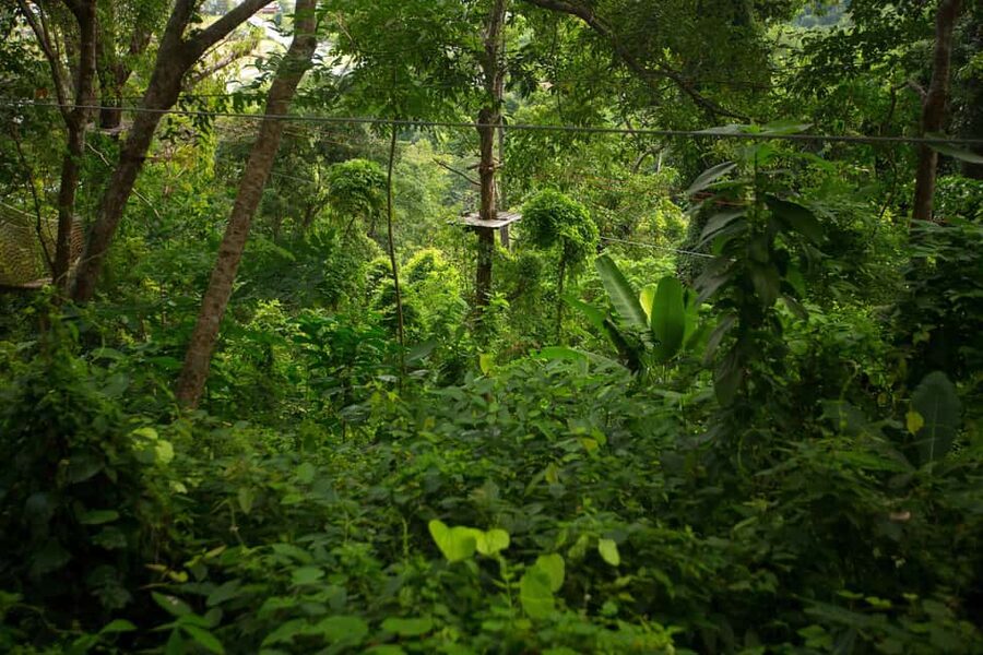 Phuket: Jungle Xtreme Adventure Park Entry Ticket - What’s Included (and What You’ll Need to Plan On)