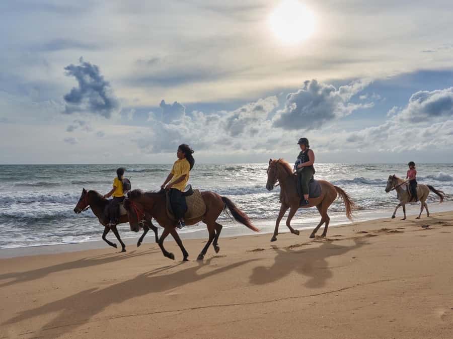 Phuket: Kamala Beach Horse Riding Activity - The 1-hour ride: walk, trot, and photo-ready beach time