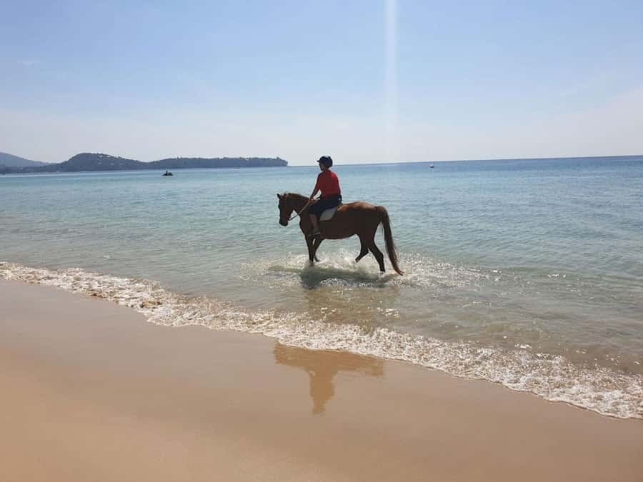 Phuket: Kamala Beach Horse Riding Activity - So, should you book Kamala Beach horseback riding?