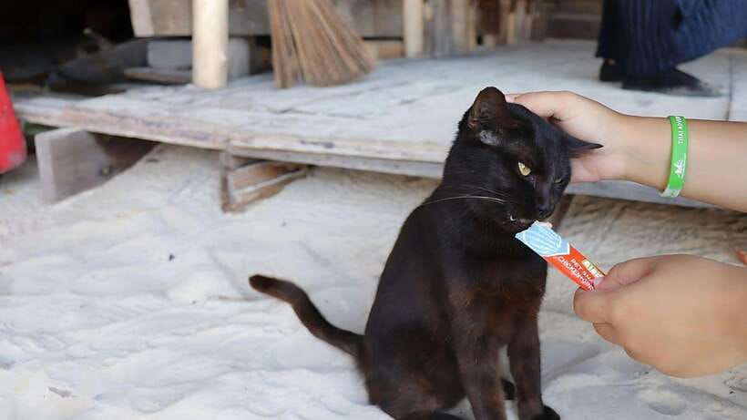 Phuket: Khai Nok, Khai Nai, and Khai Nui Island Day Trip - Quick Take: Khai Nok, Khai Nai, and Khai Nui in 4–5 Hours