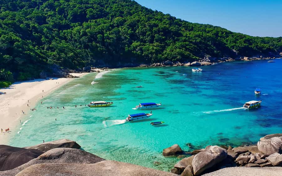 Phuket/Khao Lak: Similan Island Adventure Tour - Island 7 (Payu Island) snorkeling: calmer waters and more chances at sea life
