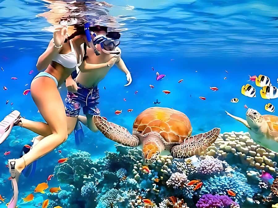 Phuket/Khao Lak: Similan Islands by Speedboat - Ko Miang: white sand views and a first taste of the Similans