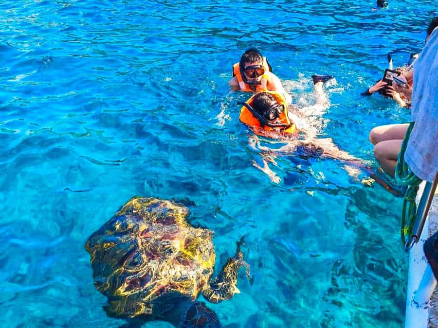 Phuket/Khao Lak: Similan Islands Speedboat Tour with Lunch - Who this tour fits best (and who should pick another plan)