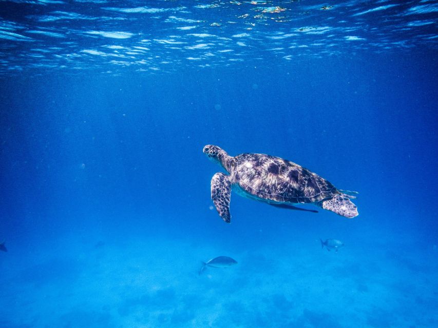 Phuket/Khao Lak: Speedboat Snorkel Tour to Similan Islands - Sailing Rock: photo stop, viewpoints, and a final stretch of time on land